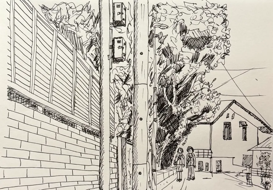 골목길의 일상 기록 — 정돈된 담장과 전신주, 그리고 나무가 있는 풍경